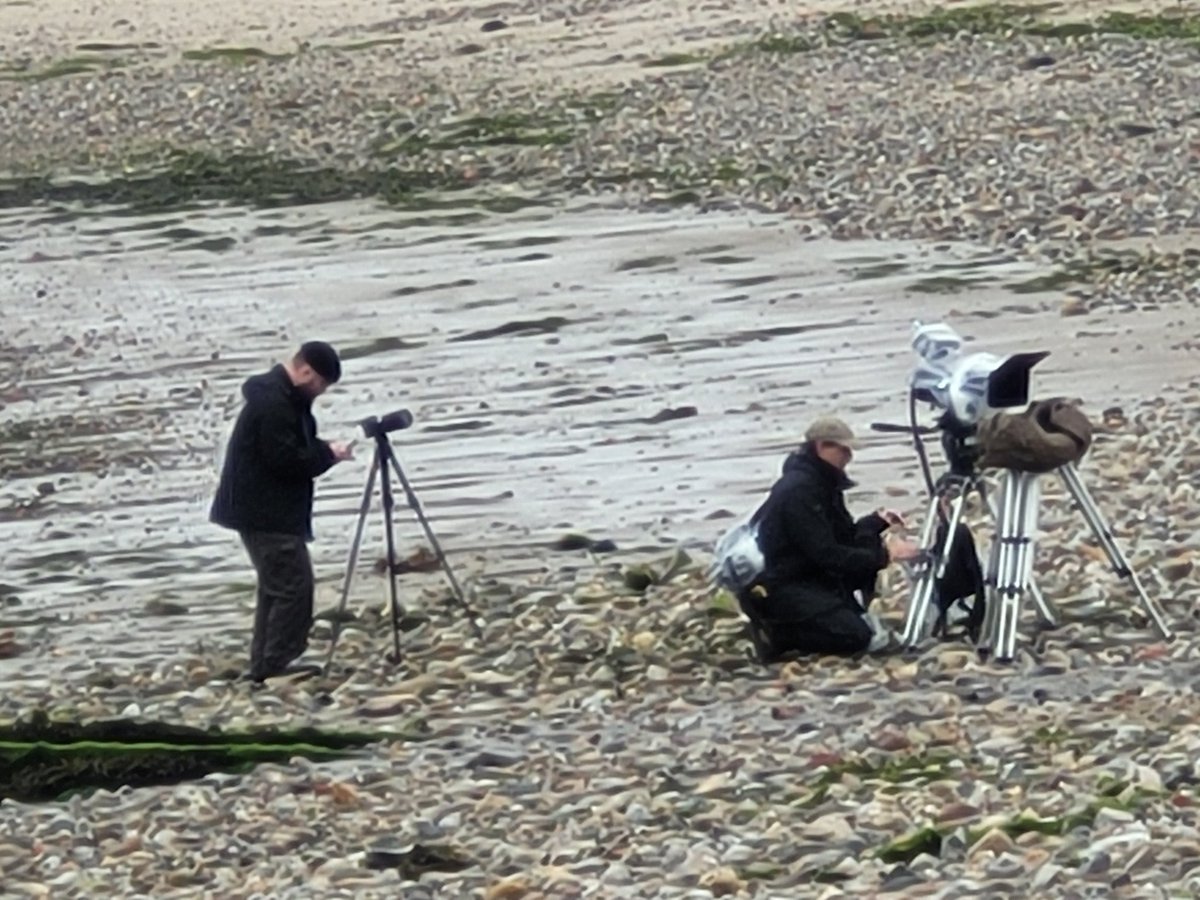 Wanty72's tweet photo. Cameras set up on the beach.. https://t.co/wyIl9FYJdi
