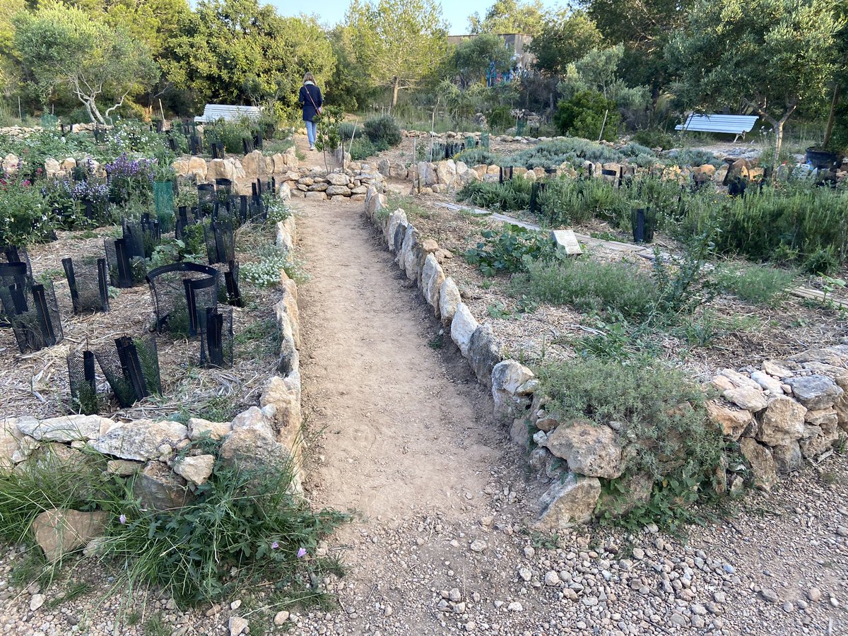Una piulada d'una cosa bonica! 🍀Els camins de l'Ortoll. 🌿Tota l' admiració a la gent que hi treballa voluntàriament.👐Plantes, hort, pedra seca... Una joia de Vilanova... Felicitats!