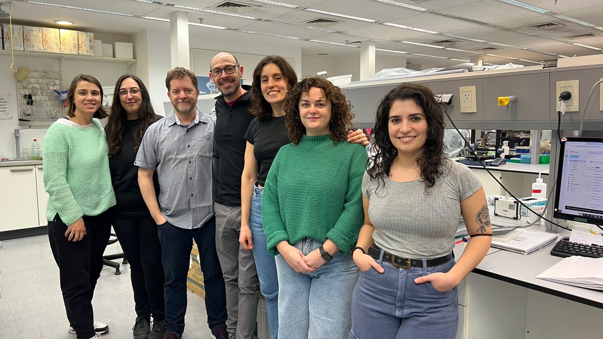 Instituto de Investigación en Biomedicina de BsAs (@ibioba_mpsp) on Twitter photo 📢 ¡Publicamos un nuevo paper! 👏
El grupo Neurobiología molecular identificó una molécula como un nuevo regulador de la función neuronal y la conducta.
👉El trabajo lo publicó <a href="/ScienceAdvances/">Science Advances</a> y describe por primera vez el rol de los ARN circulares sobre el control del estrés. 📢 ¡Publicamos un nuevo paper! 👏
El grupo Neurobiología molecular identificó una molécula como un nuevo regulador de la función neuronal y la conducta.
👉El trabajo lo publicó <a href="/ScienceAdvances/">Science Advances</a> y describe por primera vez el rol de los ARN circulares sobre el control del estrés.