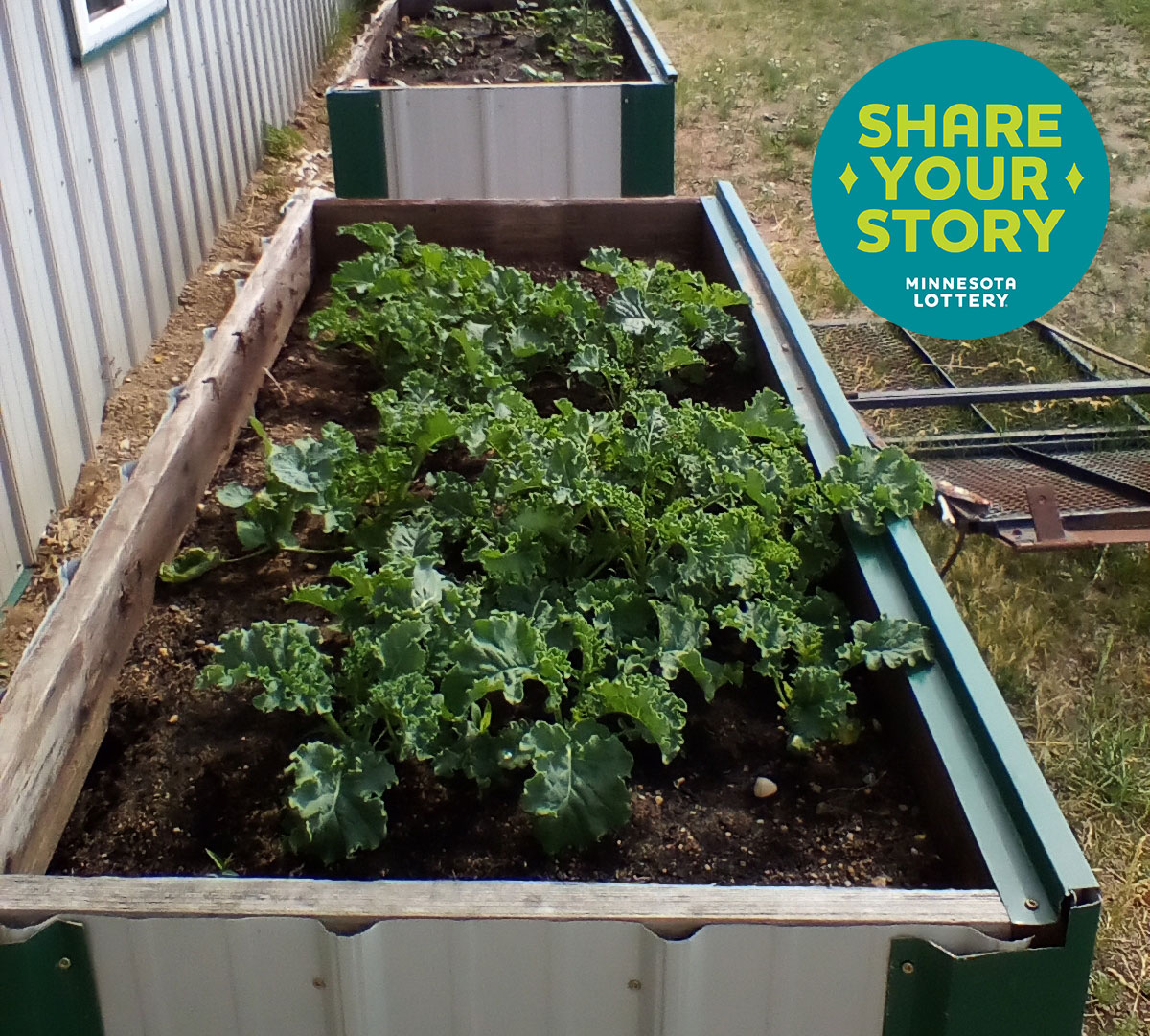 Debra from Ottertail's win is the gift that keeps on giving! 🥕🌽🍅 'I have won & put my winnings into my garden fund. I set up a produce stand every year with free vegetables. My winnings have bought me many seeds for my garden & fed a lot of people.' bit.ly/41Qxi7Q