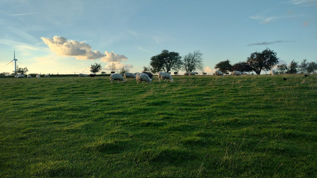 Skevast's tweet photo. @Matt_Pinner https://t.co/Ksc1LioICZ