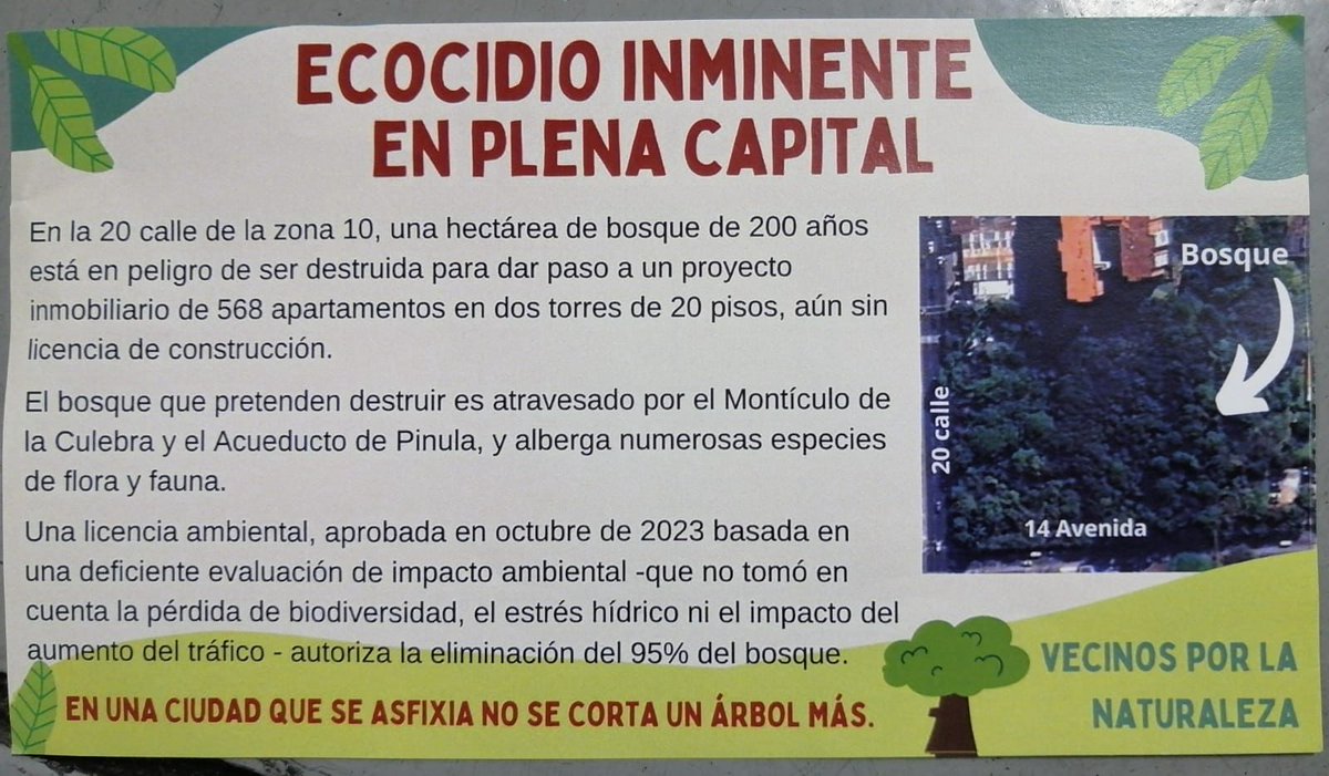 Tremendo ecocidio el que quiere cometer la @muniguate otorgando licencias de construcción a diestra y siniestra espero que el @marnguate cancele estas licencias por querer destruír  un bosque de 200 años @CoronaVirusGT @lucifer4165698 @mmendoza_GT