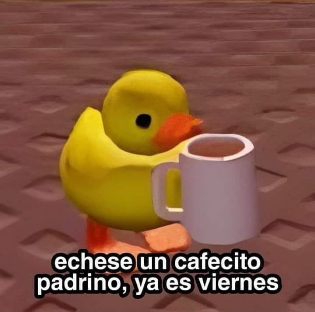 KiteExpress's tweet image. 