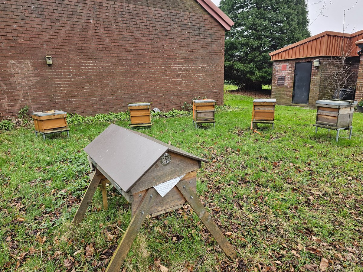 FoKGVPF's tweet photo. We are looking for a Beekeeper and Bee Helpers to help us make honey from the FoKGVPF bees! 🍯🍯

We are having a open night for volunteers on Tue 28 May at 7.00pm 🐝🐝

Please see https://t.co/wa3jbaE4Aq for more information https://t.co/iuluLFE6iJ