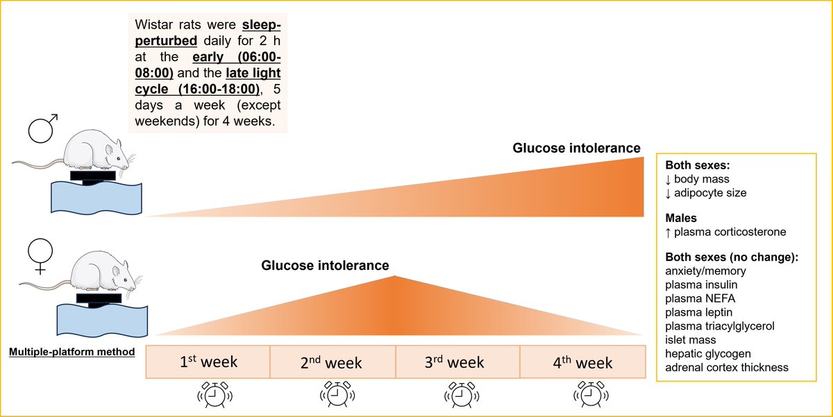 Sleep deprivation is a potential risk factor for metabolic diseases, including #obesity and type 2 #diabetes. This study evaluated the impacts of moderate chronic #sleep deprivation on glucose and lipid homeostasis in adult rats. ow.ly/viXV50RUnBs