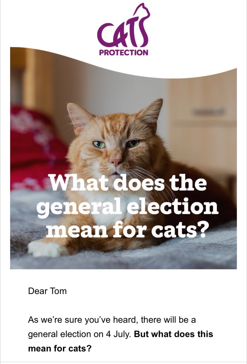 this is the only email electioneering I want to receive
