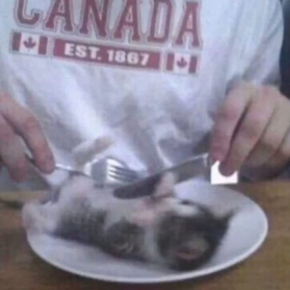 this is what i mean by eat me