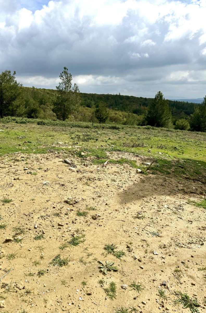 “ bastigin yerleri toprak diyerek geçme tanı,
 düşün altında binlerce kefensiz yatanı”……  #Merkeztepe’de şehitlerimiz.. #RuhunuzŞadolsun