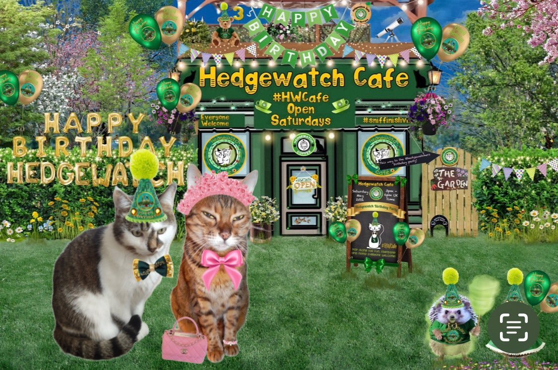 I pop up with Pokuston to join 3rd anniversary of #HWCafe,  celebrate us dedicated #hedgewatchers. Of course I have cool handbag with extendable charm on it💋😽. Lets have fun, kiss and meow Bibi