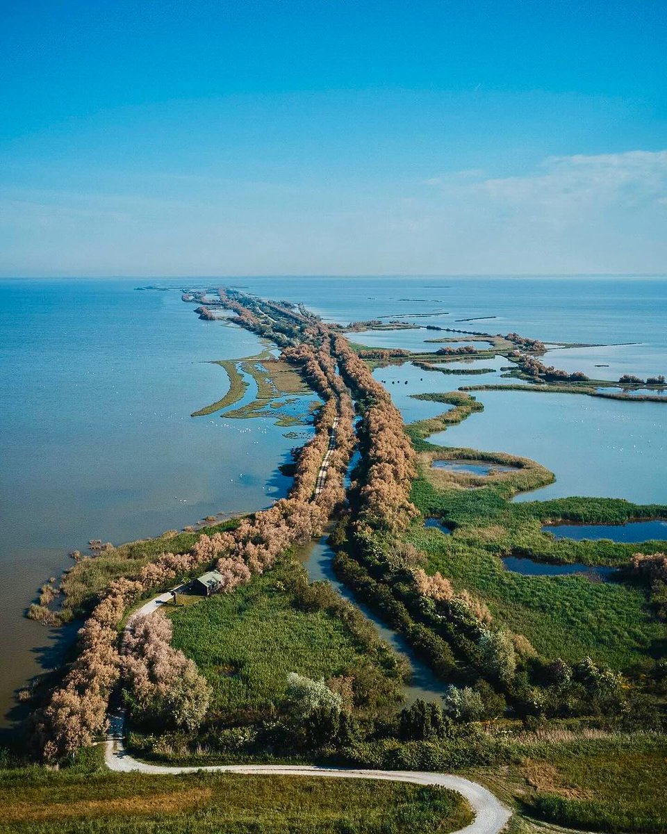 Many people don't know about the Peninsula of Boscoforte, an extraordinary natural habitat south of the Comacchio Valleys: visiter.it/peninsula-bosc… 📸: vincenzo_langella_fotografo | #inEmiliaRomagna #EmiliaRomagnaSlow