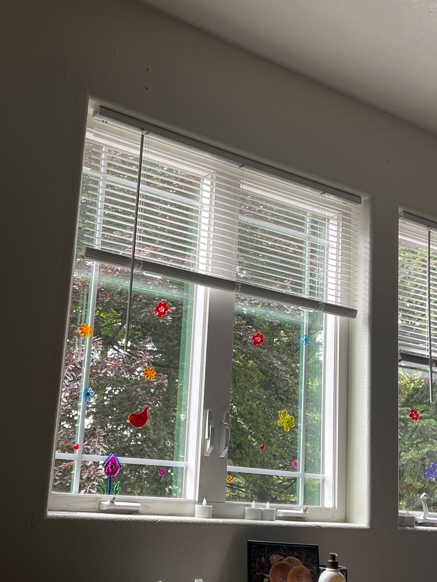 PissGoblinFern's tweet photo. Their partner got us a little care package of stuff to do and it was soooo sweet and so fun and i got to share a binky clip i made so now we have matching clips 🥰 we also decorated my windows all cute and little me is just buzzing with happiness rn looking at it https://t.co/OsMqvUZNwG