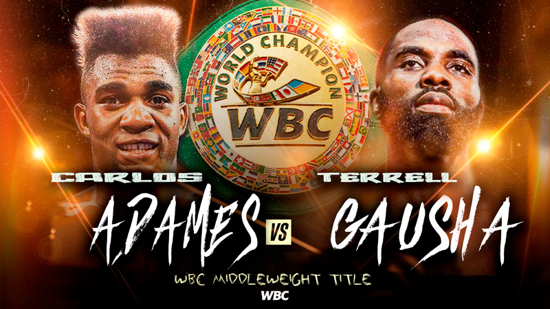 Adames faces Gausha on June 15. wbcboxing.com/en/adames-face…