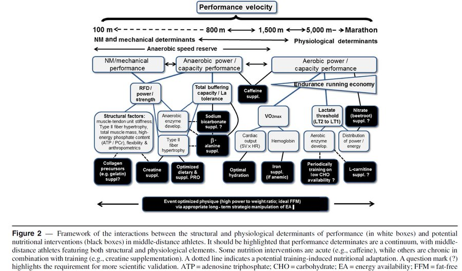 You need to know determinants of performance for your sport,  

Because they drive relative training priorities compared to other elements.  

A good overview of 100m to marathon running determinants below 

Example: running economy important for the marathon but not 100m.