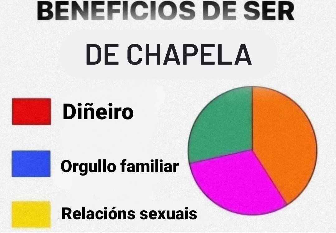 Alerta Velutina (@alertavelutina) on Twitter photo 