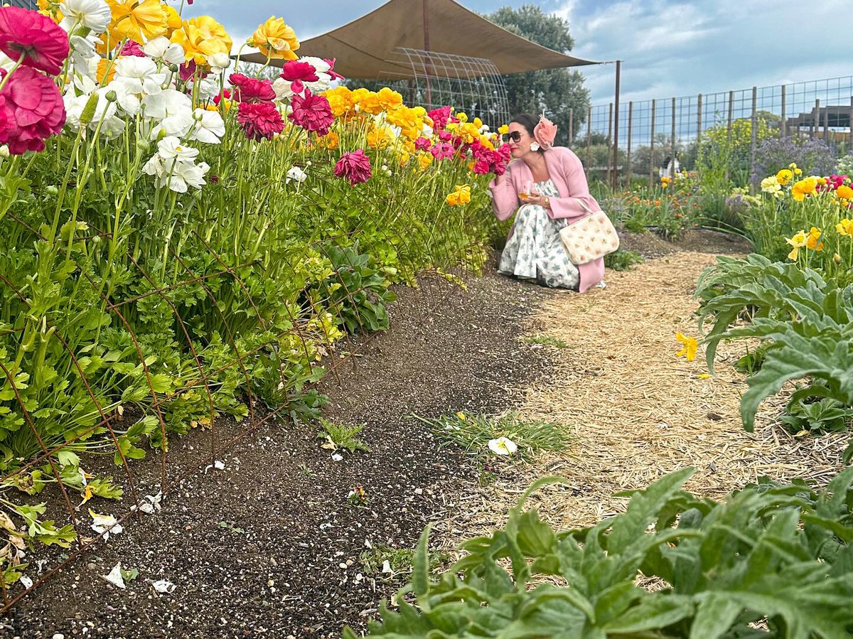 Take a moment to stop and smell the Rosé this weekend #FanFriday

📸 Photo taken at the Niner Wine Estates garden