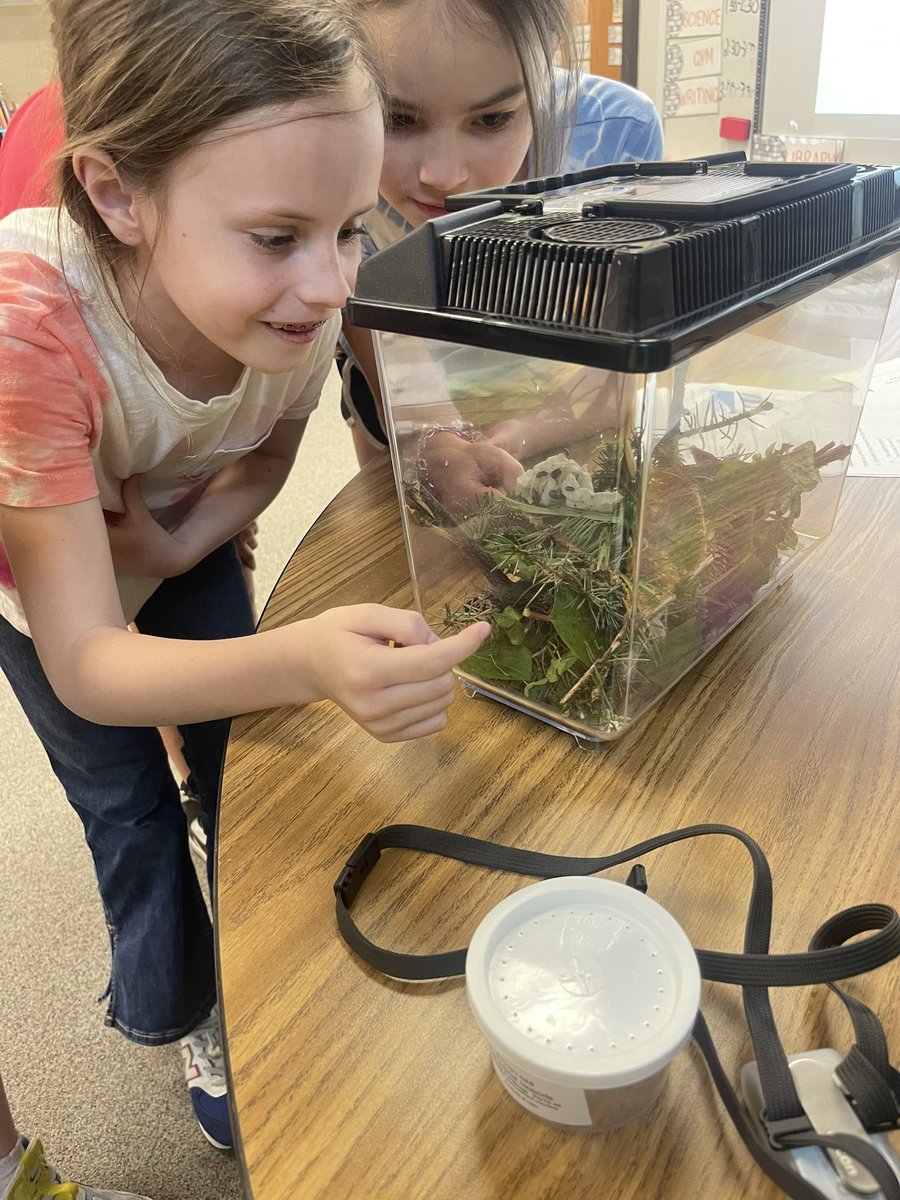 Our pillbugs have arrived! We had a blast today designing our home for them and studying what pillbugs need to survive.