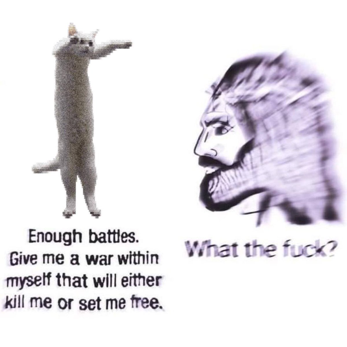 tokyo.fresh tweet media