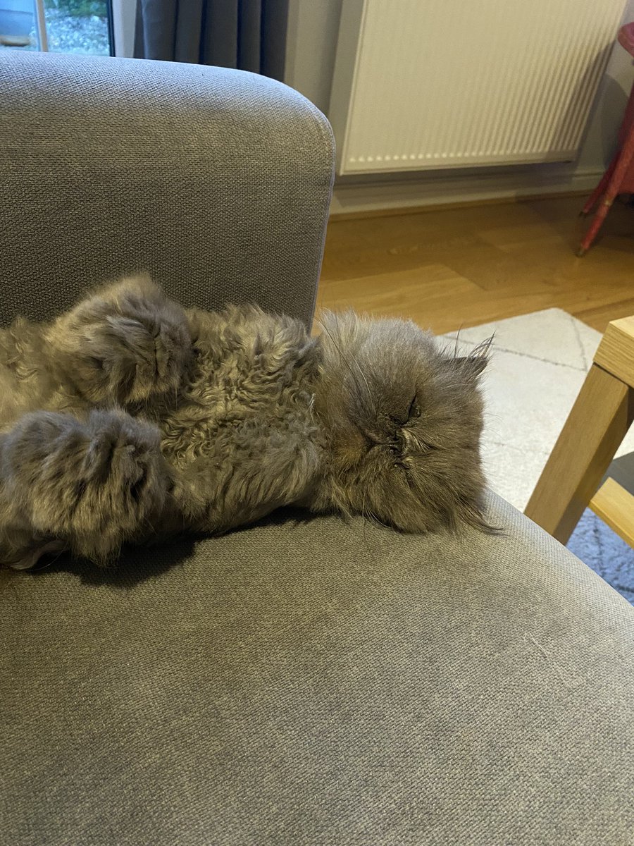 geog_on_teach's tweet image. Happy Half Term 🌟