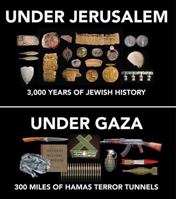 Dr. Eli David (@drelidavid) on Twitter photo 