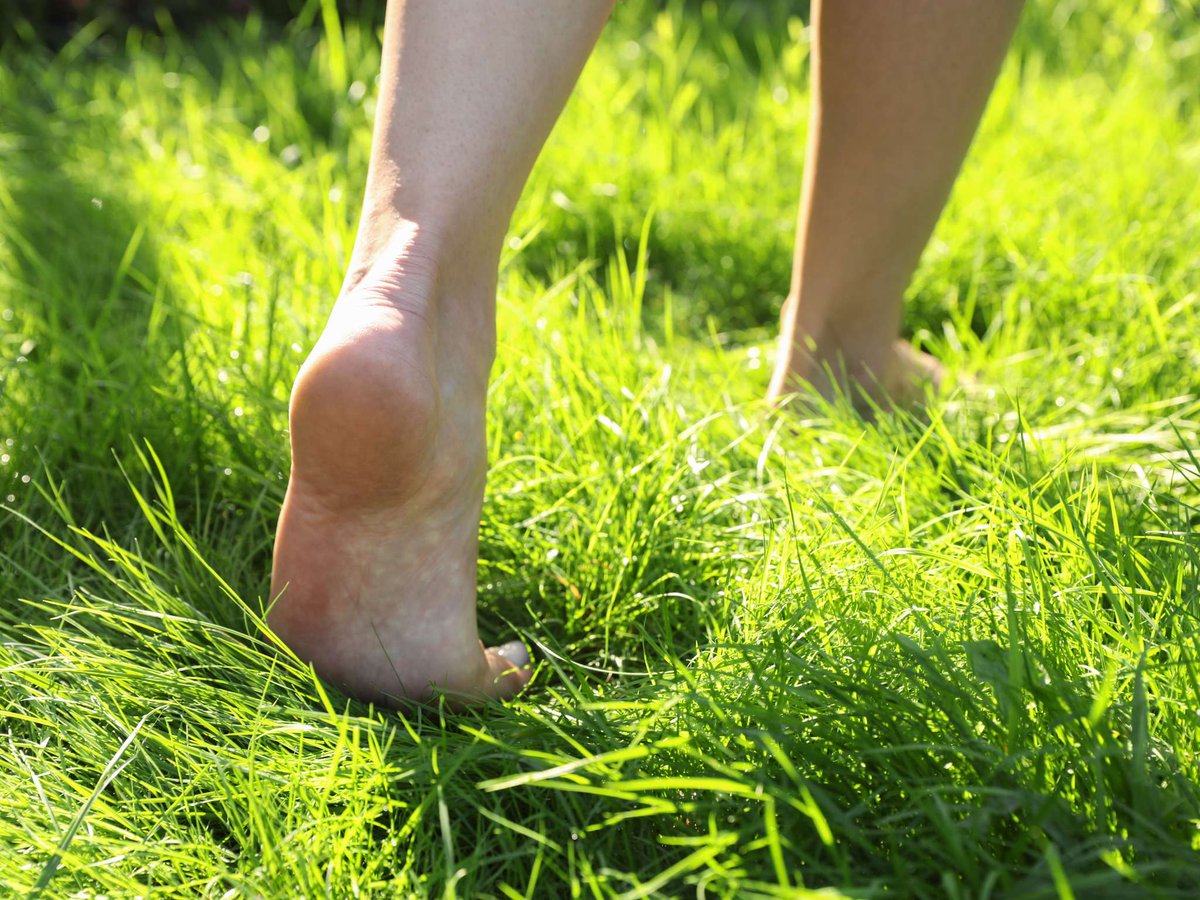 CompFootCenters's tweet image. 🌞 Spring sun, but is there heel pain spoiling your fun? Let's fix that! Schedule today for a personalized plan and ensure a summer filled with carefree steps. ☀️ #HeelReliefJourney #SpringIntoComfort
bit.ly/3pp5cz1