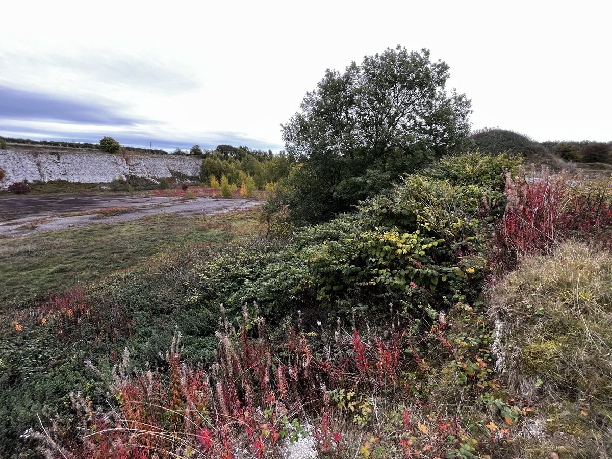 AW Coast & Country tweet media