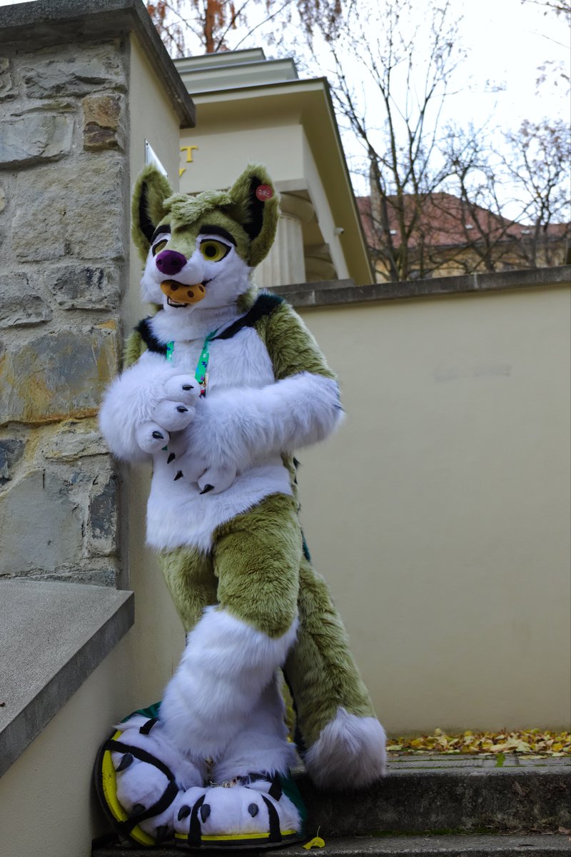Well hello, was waiting for ya!

📸 <a href="/DerooShep/">Deroo</a> 

#fursuitfriday #fursuit #fursuiting #furry