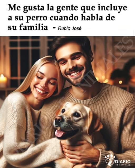 <a href="/ser_espiritual_/">SER ESPIRITUAL</a> Feliz noche,Ser.🤗🦮🙏🙏✨⭐