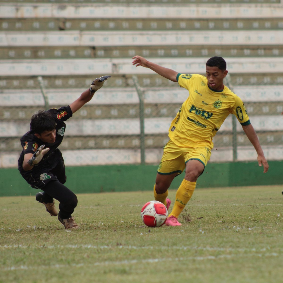 mirassolfc's tweet image. É  GOLEADA DAS #CRIAS 🟡🟢

Jogando fora de casa,o Mirassol venceu o Rio Preto por 6 a 0 e manteve a invencibilidade no Campeonato Paulista Sub-20

⚽️Moisés 
⚽️Fabrício Lima 
⚽️Gustavo Rodrigues
⚽️Guilherme Lopes
⚽️Kerlon
⚽️Alberto Júnior

📷:João Pinheiro/Agência Mirassol