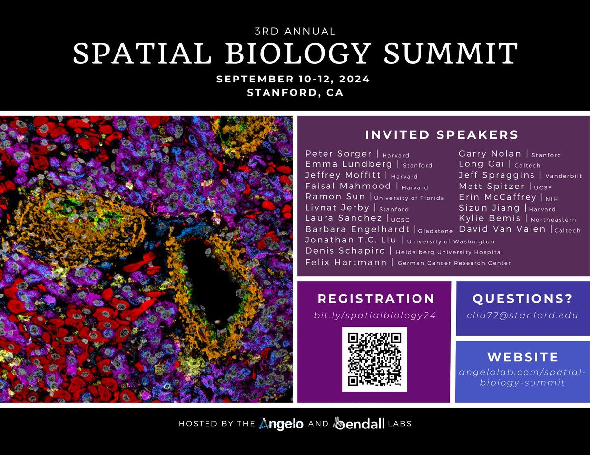 MikeAngeloLab's tweet image. Registration for the 3rd Annual Spatial Biology Summit is now open! Don't miss out! Hope to see you in September.