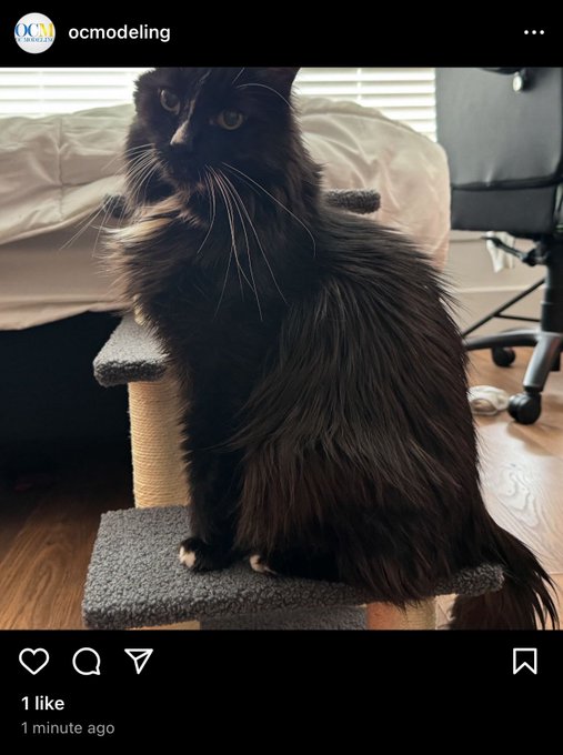 Ok so Instagram is down but in a funny way apparently 😂 @OCModeling https://t.co/Ve6eb2ZEtF<a href="/tag/iphone15"class="tags"><span>#iphone15</span></a>