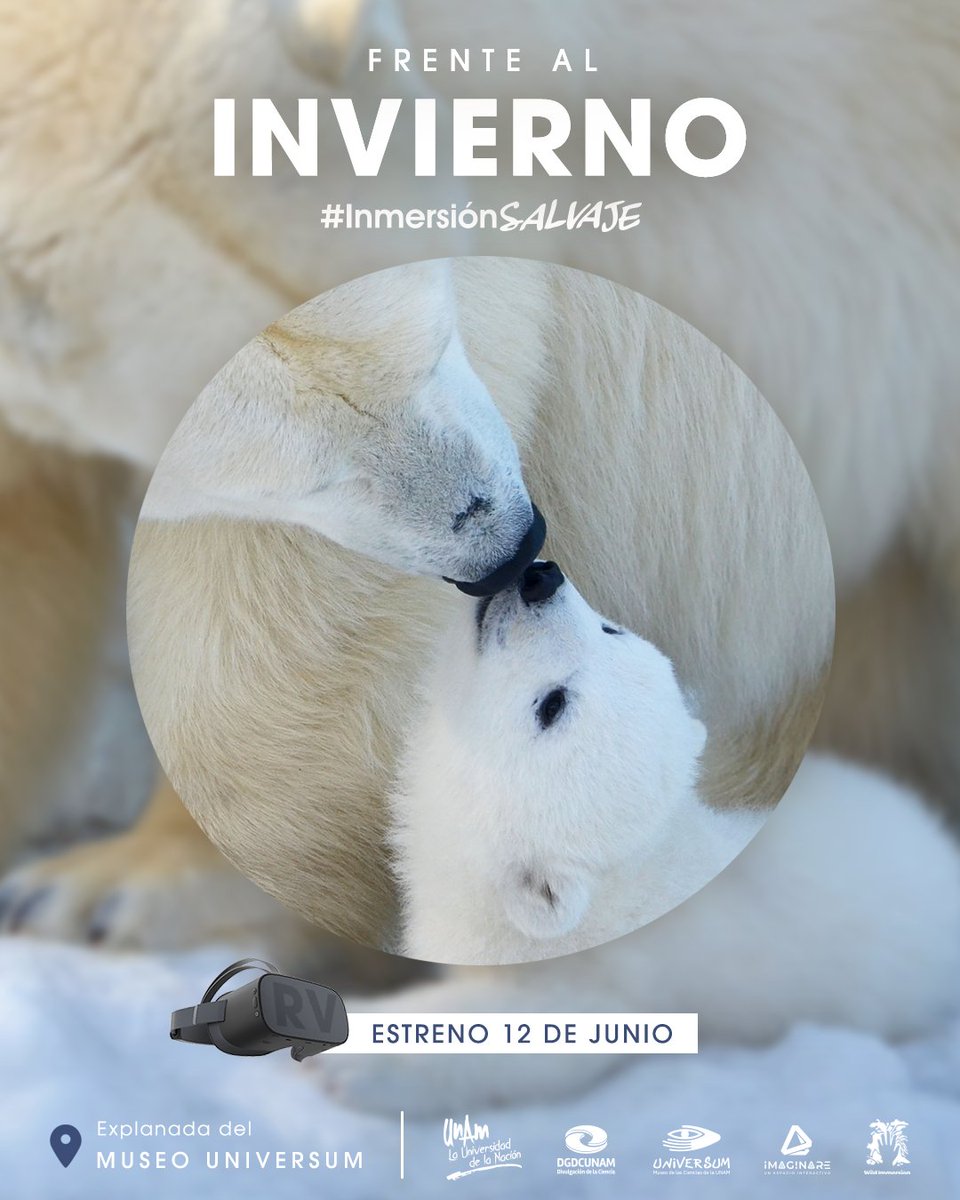 ¡El invierno está cerca! ❄️🥶 Bueno, al menos en #InmersiónSalvaje 🤩

Conoce cómo es que los animales se adaptan para resistir el frío invernal, ¡próximamente en #Universum! ☃️❄️👇🏽