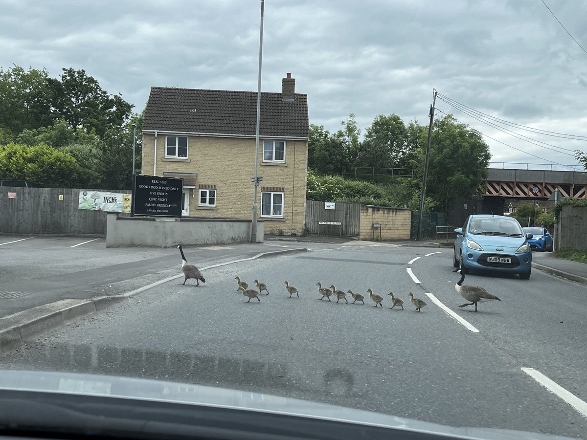 Traffic hold up in Westbury this afternoon