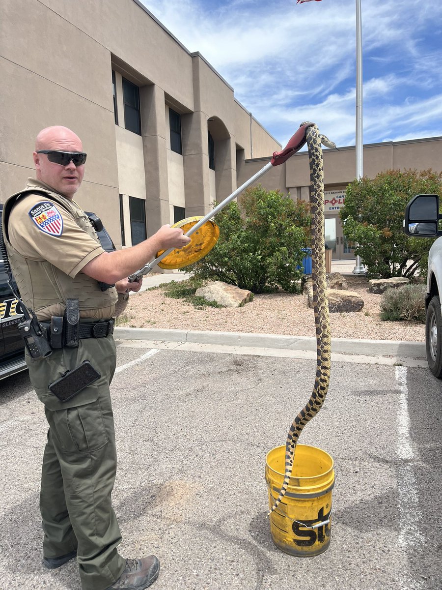 It is snake season! 🐍 

Animal Services Officer Chris Smith responded to a call for service of a large snake in the neighborhood near Floras del Sol.

#StaySafeSantaFe 
#ProtectAndServe 
@SantaFeGov
