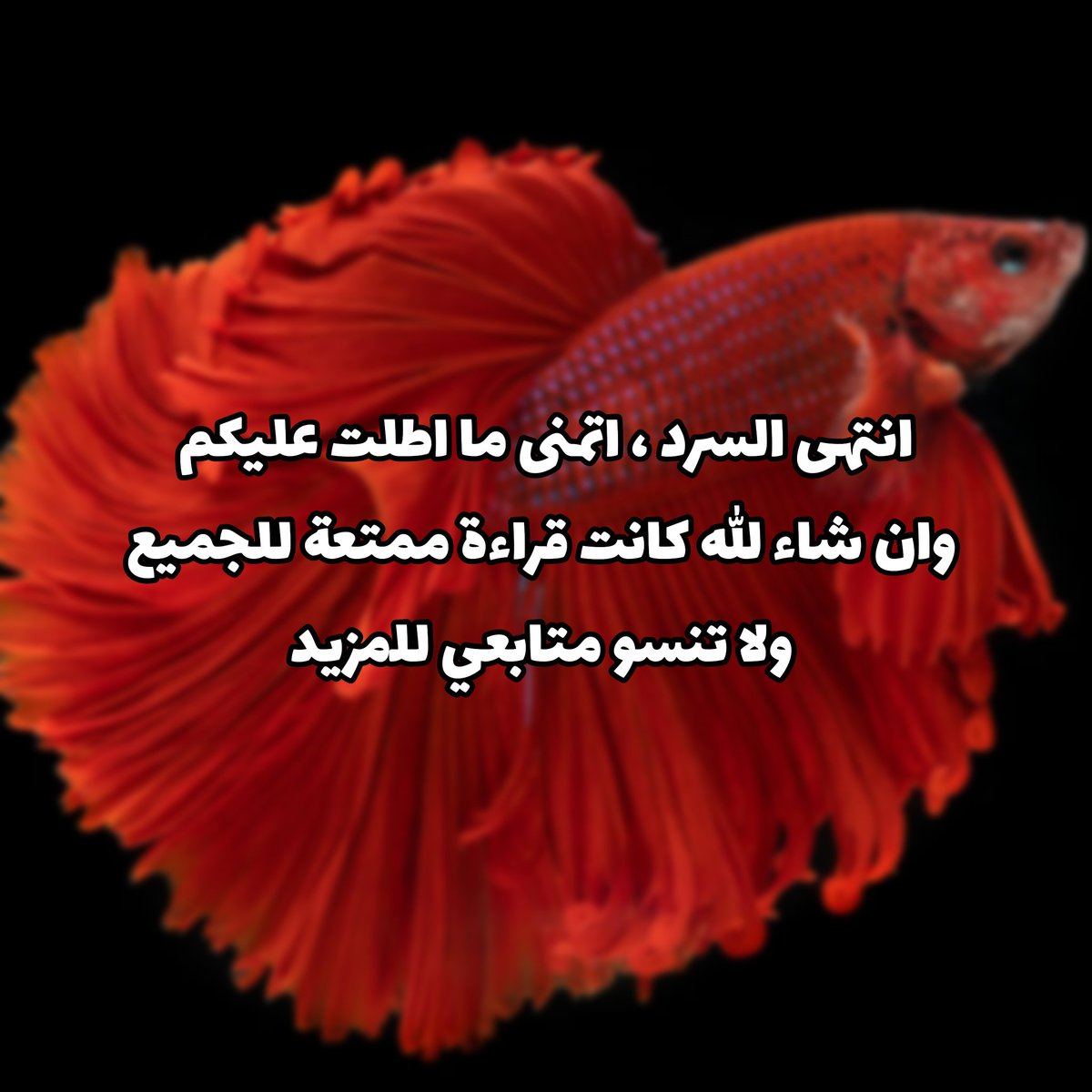 abdelghai28's tweet photo. https://t.co/I1ZGAKfYHs