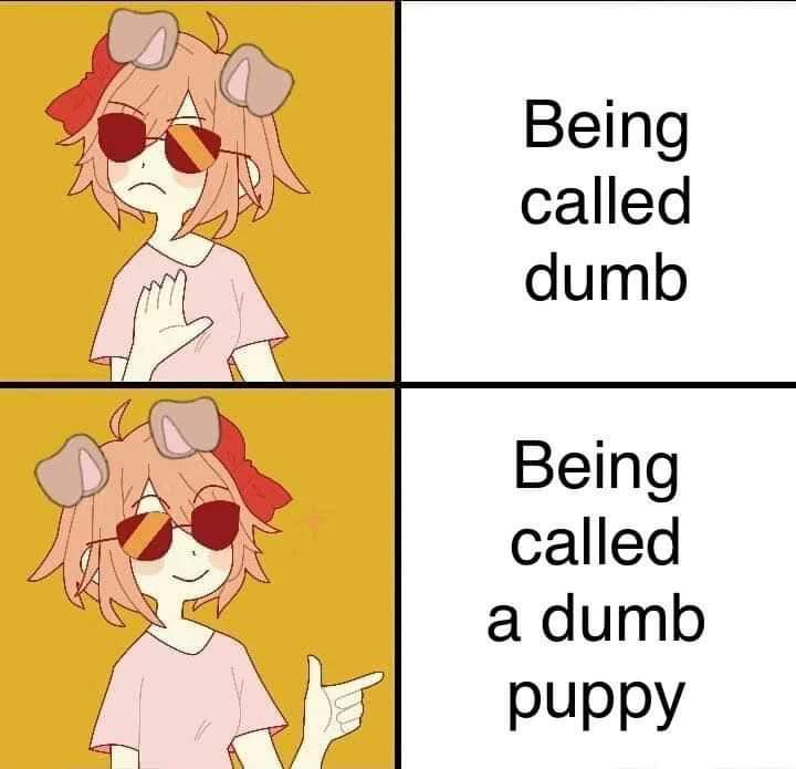 stoxped's tweet photo. puppyposting day 116 https://t.co/NOlFwm4AQw
