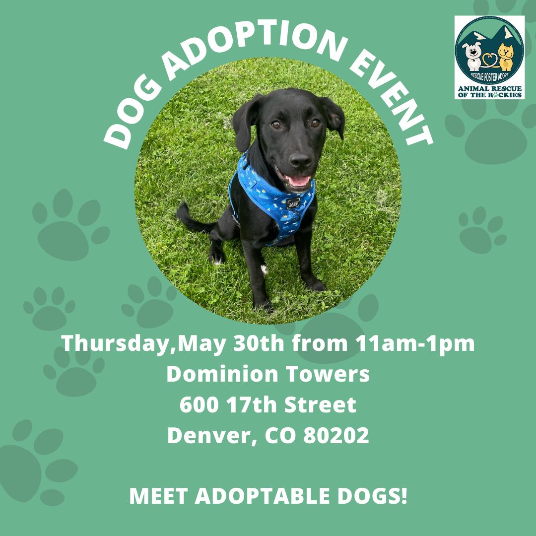 ARRColorado's tweet photo. Don't miss our Dog Adoption Event in Downtown Denver!

📅 Thurs, May 30
⏰ 11 am - 1 pm
📍Dominion Towers, 600 17th St

Meet pups in need of homes. Whether you're ready to adopt or want to spread love, everyone's welcome!

🚗 Park under Dominion Towers, go up to the 1st floor https://t.co/tljQJKqWfO
