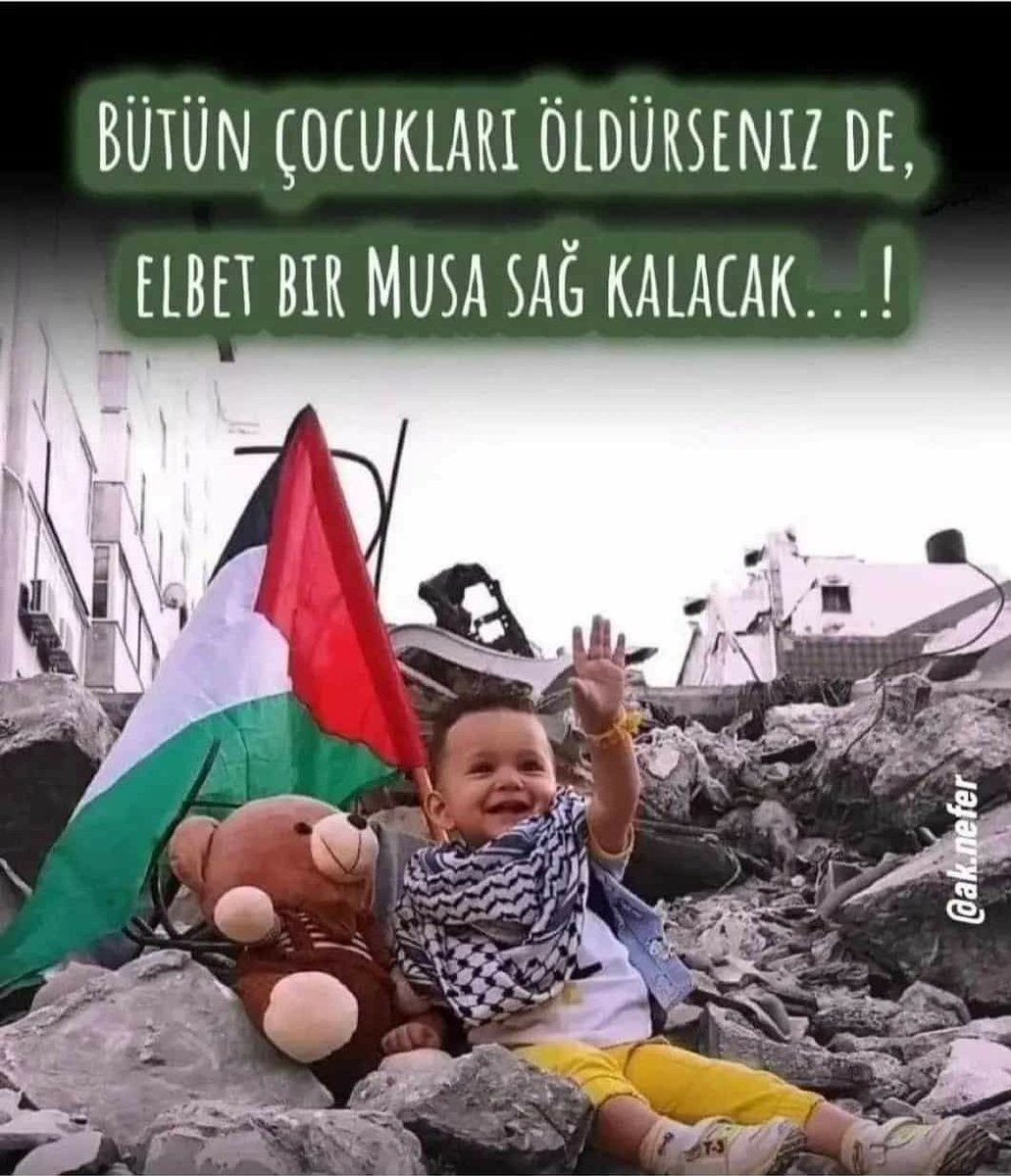 Nesrin (@yonca12341234) on Twitter photo 