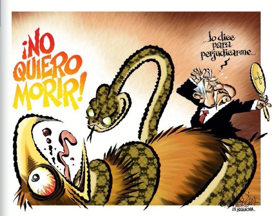 Esteban (@agnussumma) on Twitter photo 