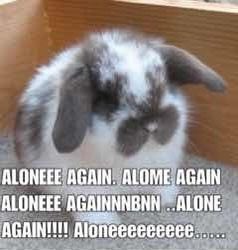 Bpd boi part 2 (@suicidal_bpd2) on Twitter photo 