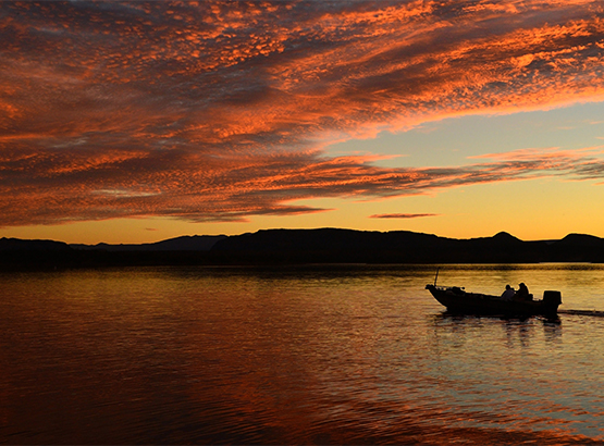 azwater's tweet image. Arizona offers diverse recreational opportunities for anglers throughout the state – find your next favorite spot @  ow.ly/XfKB50RT8c6 @azgfd #FridayFishing