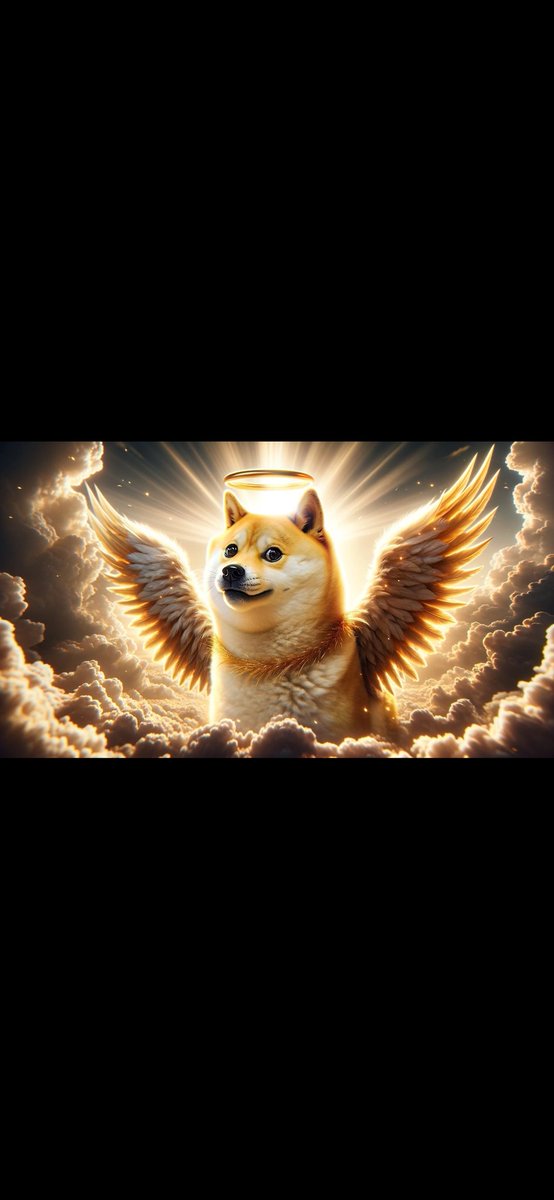 forest_xavi's tweet photo. @cb_doge https://t.co/ytMHGdpXZV