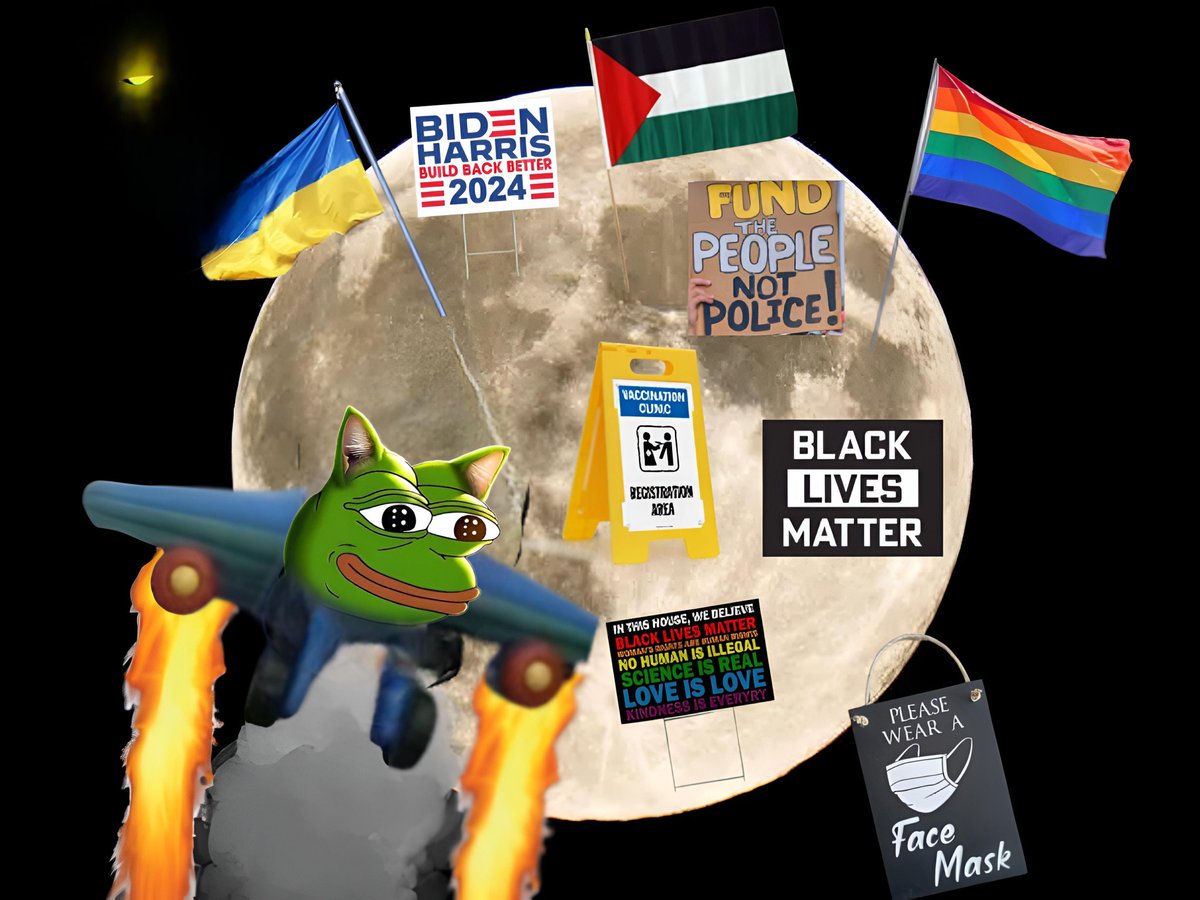 fzuype's tweet photo. @PepeCatXyz @PepeCatXyz 
My meme art https://t.co/K7i8WAQqV0