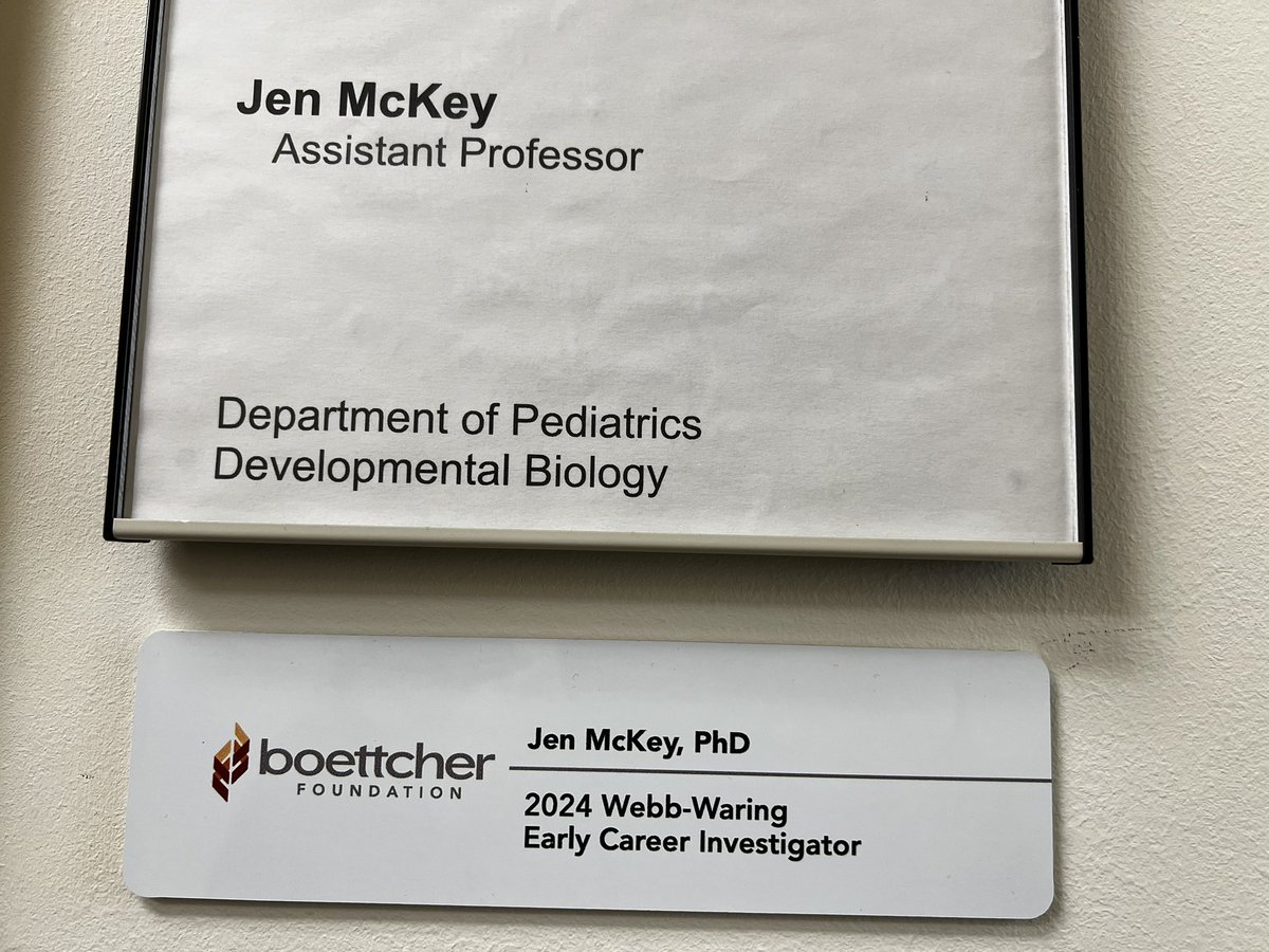 This is a fun addition to my office door :) I’m so honored to become a Boettcher Investigator and grateful for the support of the @BoettcherFdn to pursue our work on perinatal ovary development! 🤩#ReproRocks #TeamOvary