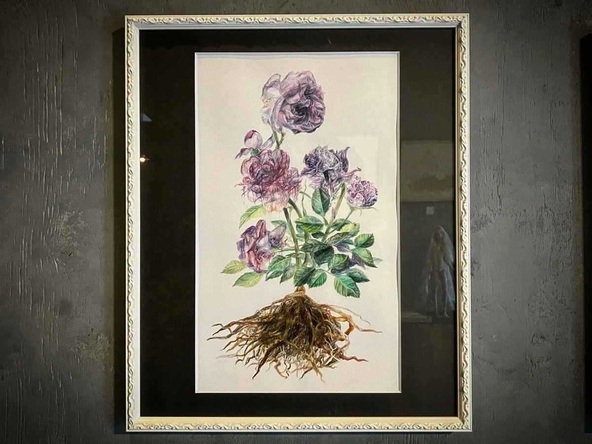 AjisaiGallery's tweet photo. 【ECサイト作品紹介】
依田恵『変質する薔薇』
¥50,000
素材:透明水彩/水彩紙
サイズ(mm):360×215/(額装)424×347
制作年:2024
https://t.co/xjiuYLQ0jN
5月末までの掲載となります。
銀行振込ご希望の場合はDM等にてお問合せ下さい。
#gallery_hydrangea_EC #SilentScience https://t.co/oIX8ZLypYJ