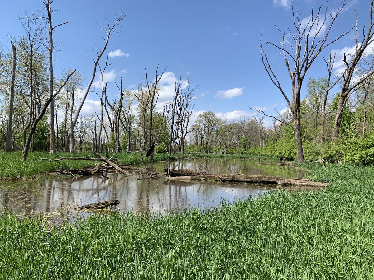 Tom Anderson tweet media