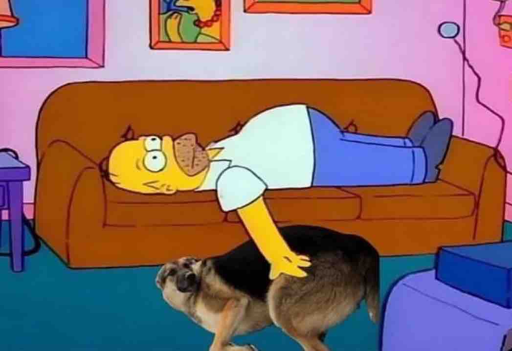 “No puedo ir, ya tengo planes”

Los planes: