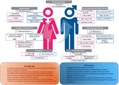 Differences in presentation, diagnosis and management of heart failure in women. A scientific statement of the #HFA of the ESC onlinelibrary.wiley.com/doi/full/10.10… #CardioEd #EJHF @ESC_Journals @EJHFEiC @ARakisheva @GianluSava @MagdyAbdelhami7 @EkateriniL