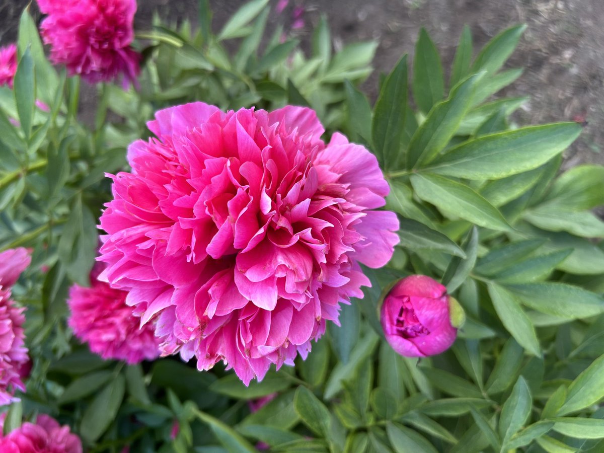 gfossern's tweet image. Was there 5/21. Fabulous for M-COPE!