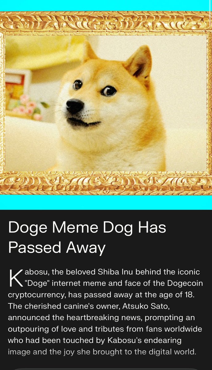 R.I.P. Kabosu of Doge fame.