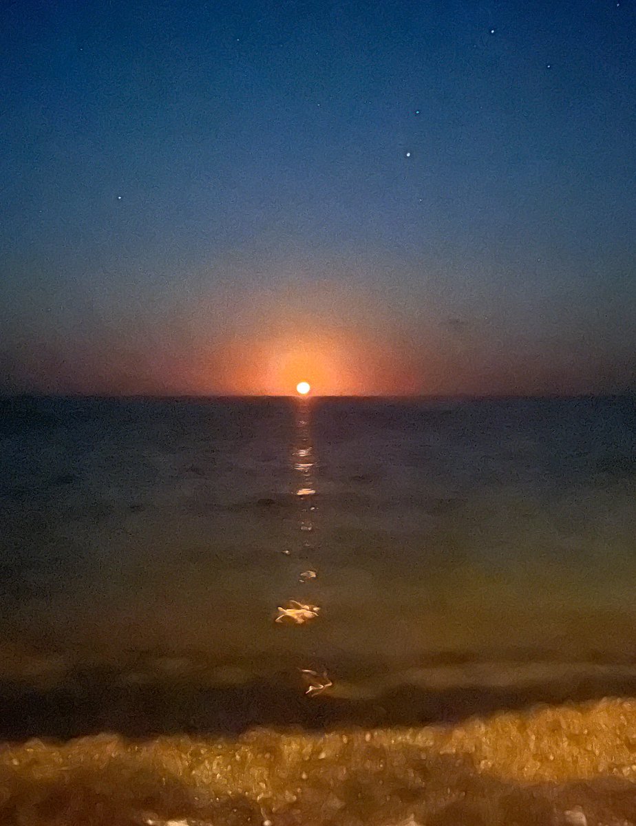 Have a wonderful weekend 🌅 #FloridaKeys #Sunset #BeautifulNature #Blessings #orangemoon #ocean #Bay #saltlife #naturelover 🩵⚓️